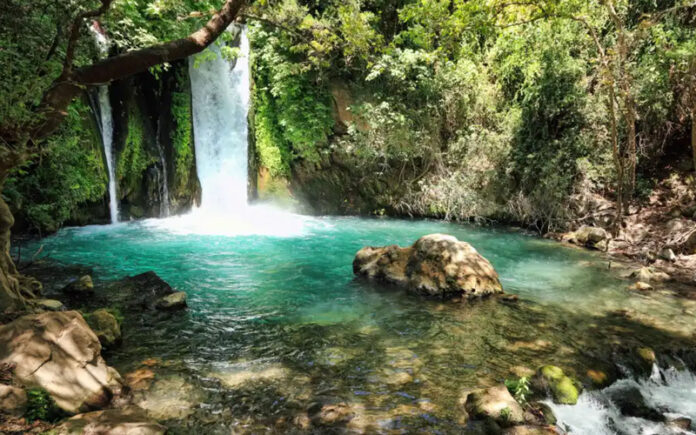 10 Best Nature Reserves in Israel for a Peaceful Escape