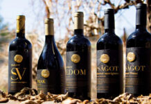 Top 8 Israeli Wines You’ll Want to Bring Home