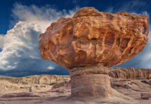 Top 10 National Parks in Israel for Nature Lovers