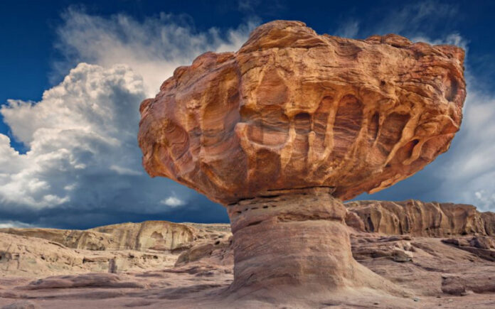 Top 10 National Parks in Israel for Nature Lovers